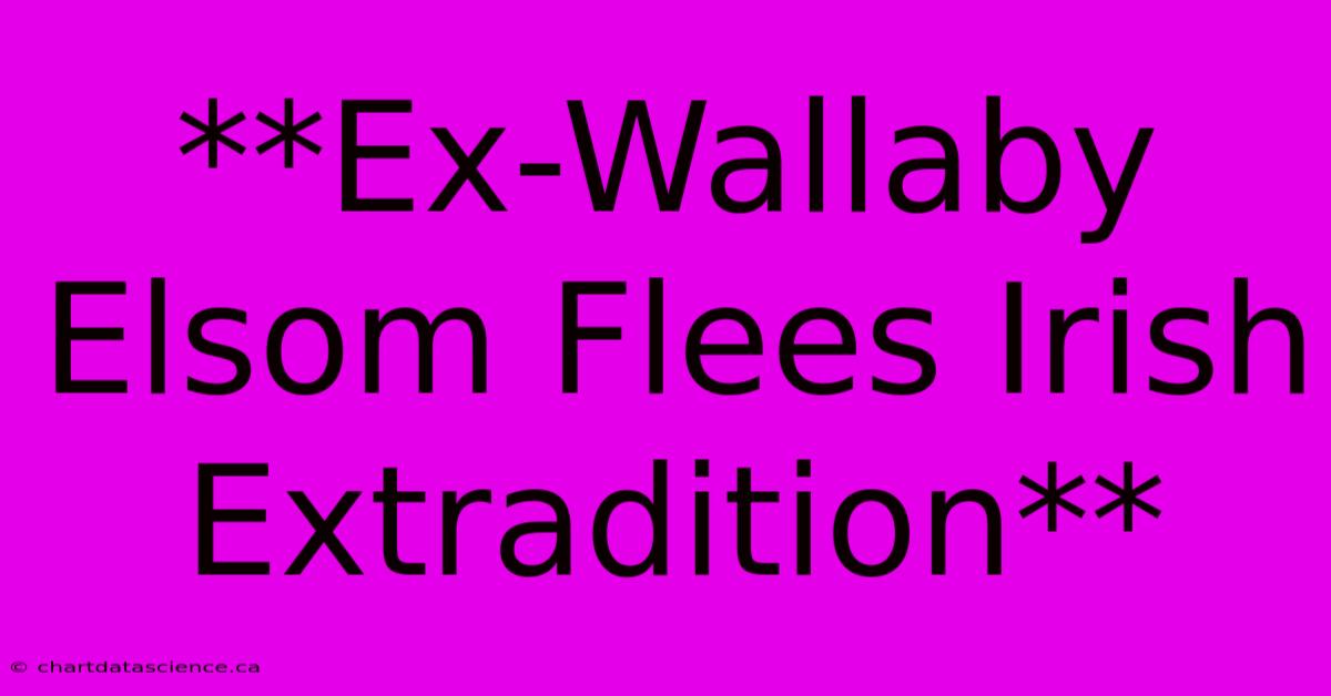 **Ex-Wallaby Elsom Flees Irish Extradition**