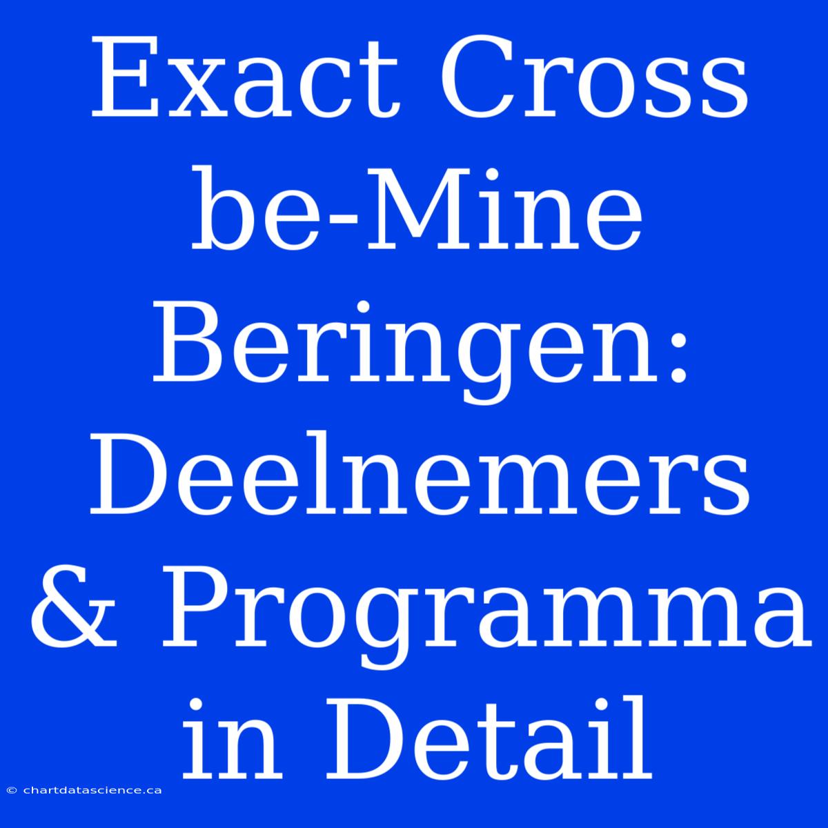 Exact Cross Be-Mine Beringen: Deelnemers & Programma In Detail