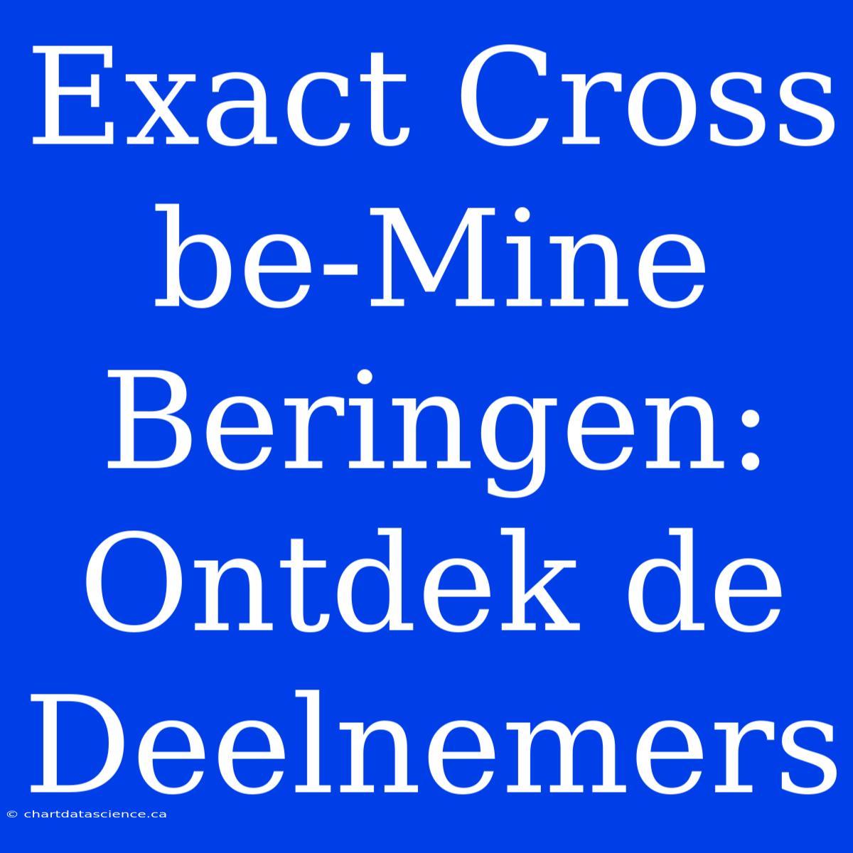 Exact Cross Be-Mine Beringen: Ontdek De Deelnemers