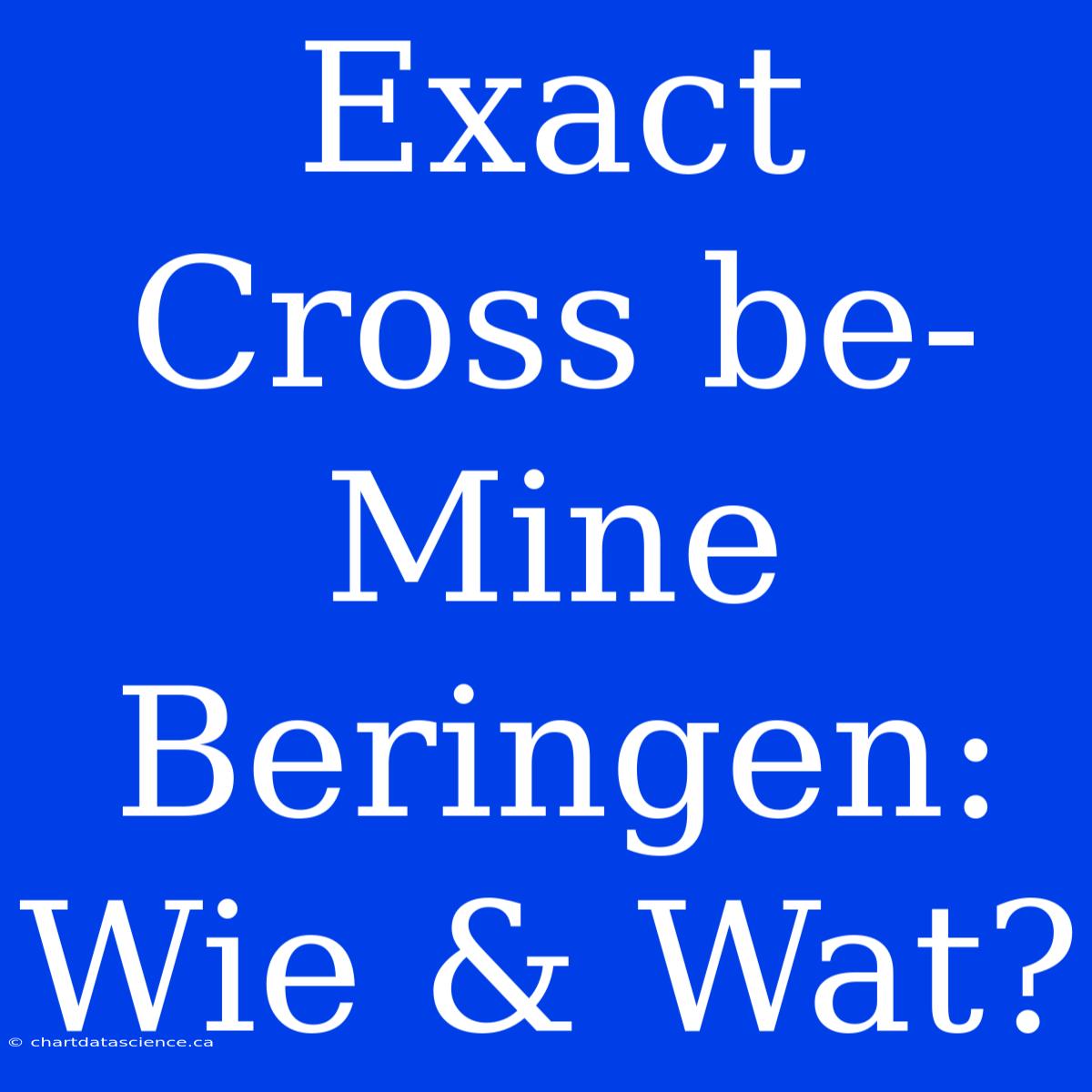 Exact Cross Be-Mine Beringen: Wie & Wat?