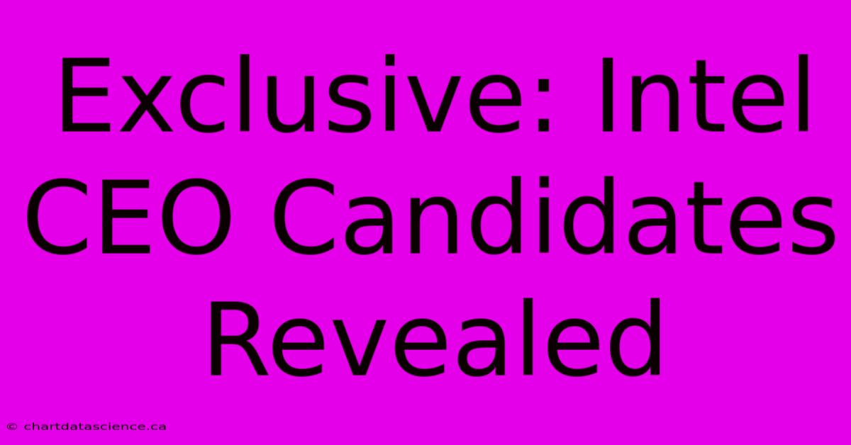 Exclusive: Intel CEO Candidates Revealed