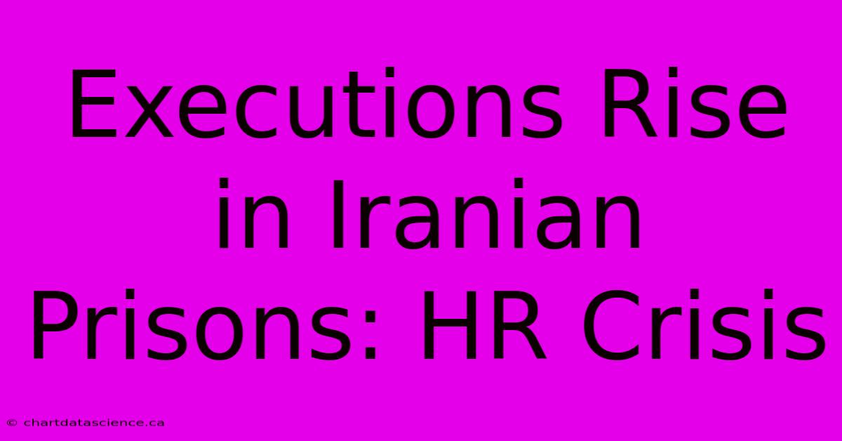 Executions Rise In Iranian Prisons: HR Crisis