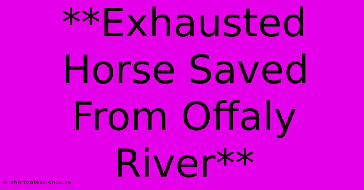 **Exhausted Horse Saved From Offaly River** 