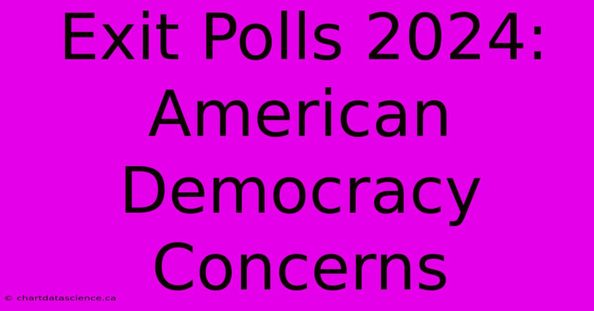 Exit Polls 2024: American Democracy Concerns