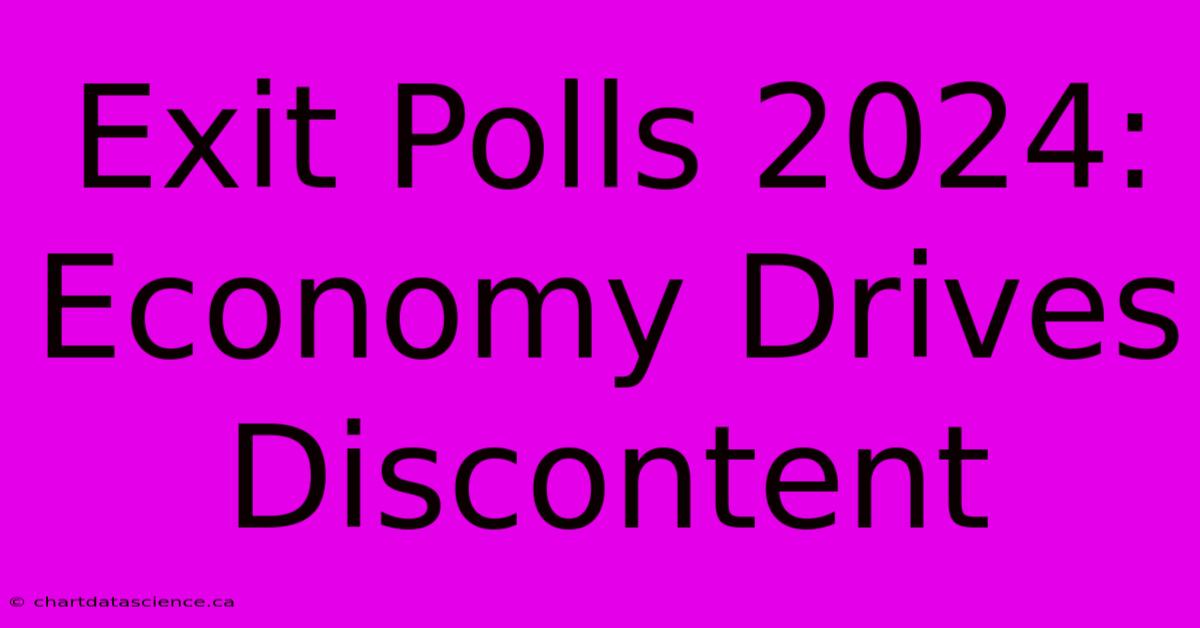 Exit Polls 2024: Economy Drives Discontent