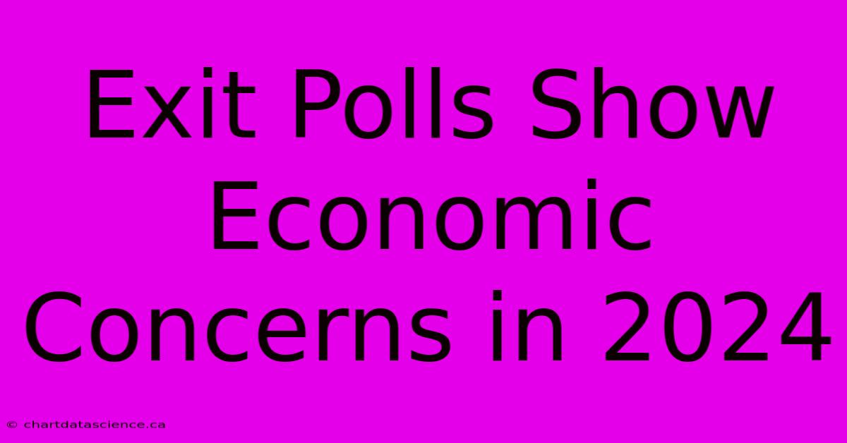 Exit Polls Show Economic Concerns In 2024 