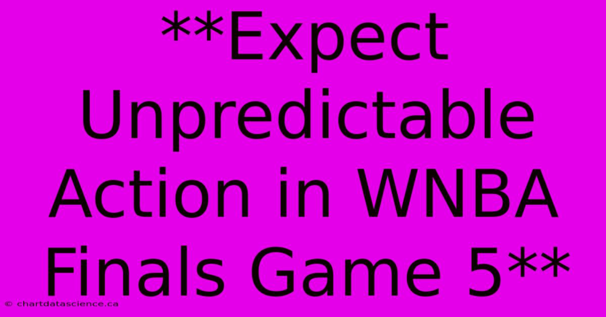 **Expect Unpredictable Action In WNBA Finals Game 5**