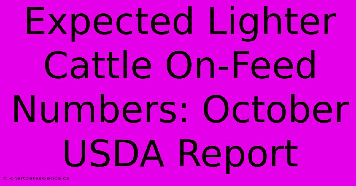 Expected Lighter Cattle On-Feed Numbers: October USDA Report 