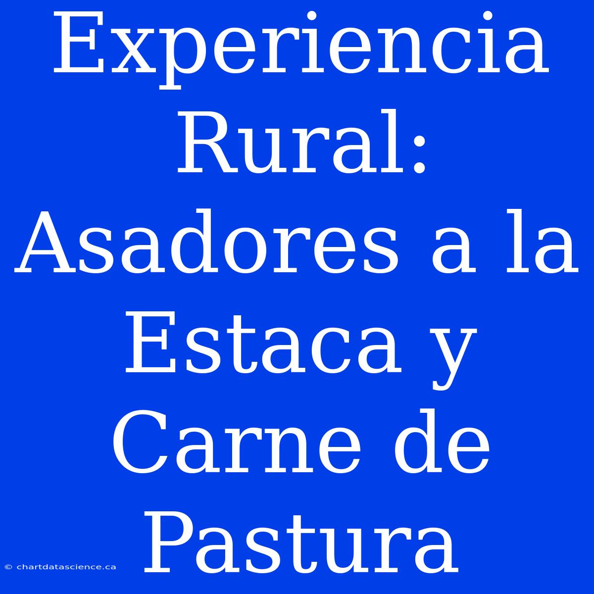 Experiencia Rural: Asadores A La Estaca Y Carne De Pastura