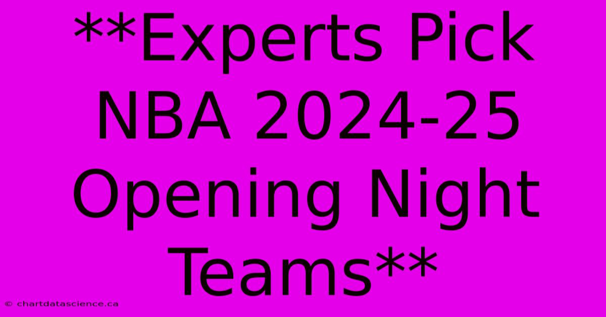 **Experts Pick NBA 2024-25 Opening Night Teams**