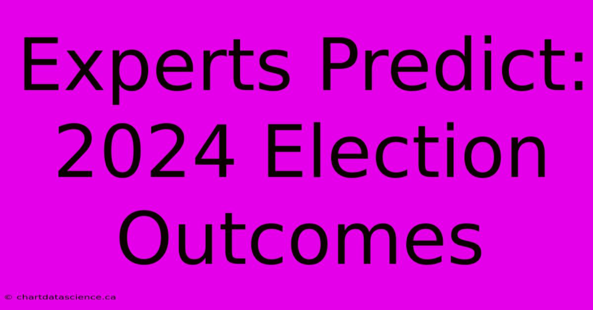 Experts Predict: 2024 Election Outcomes