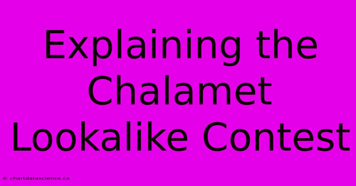 Explaining The Chalamet Lookalike Contest