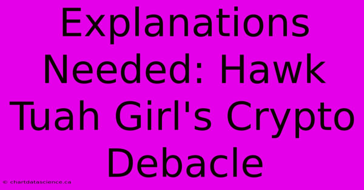 Explanations Needed: Hawk Tuah Girl's Crypto Debacle