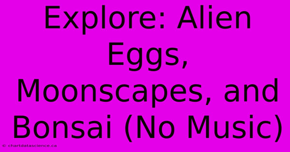 Explore: Alien Eggs, Moonscapes, And Bonsai (No Music) 