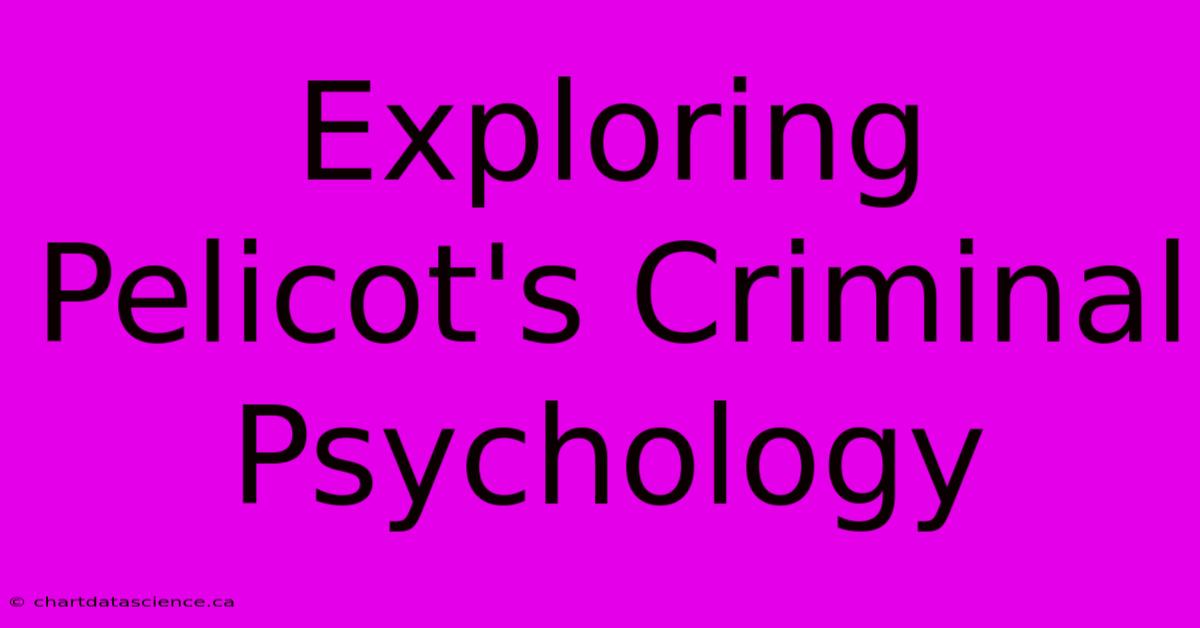 Exploring Pelicot's Criminal Psychology