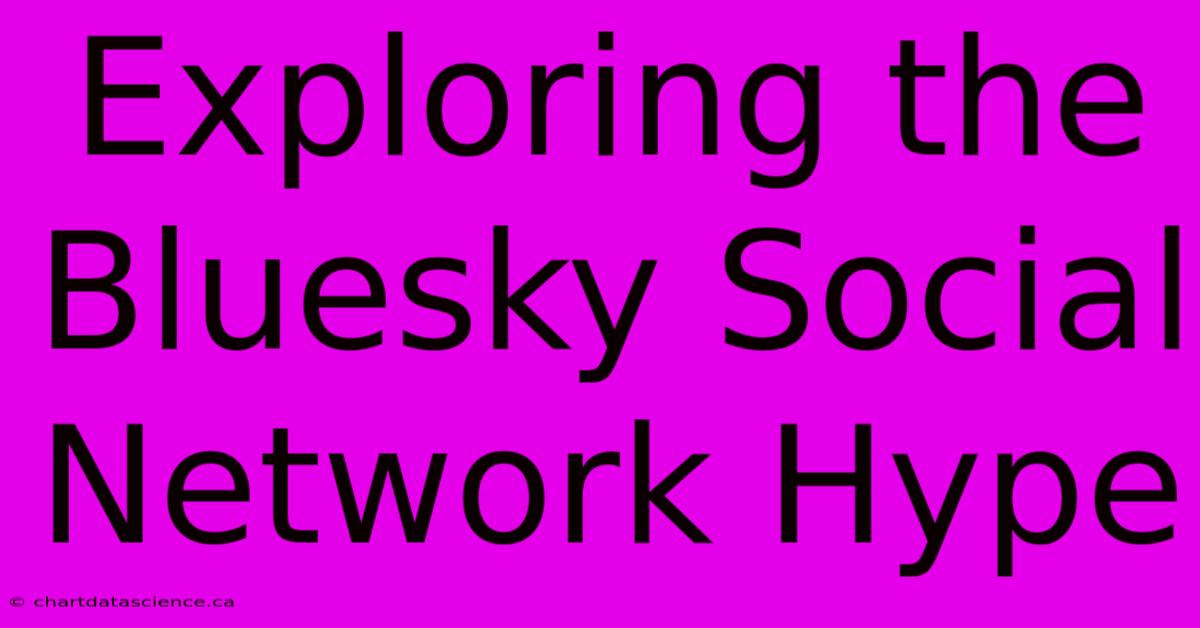 Exploring The Bluesky Social Network Hype 