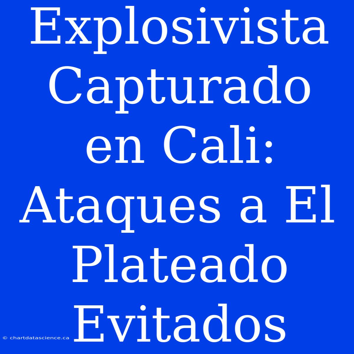 Explosivista Capturado En Cali: Ataques A El Plateado Evitados