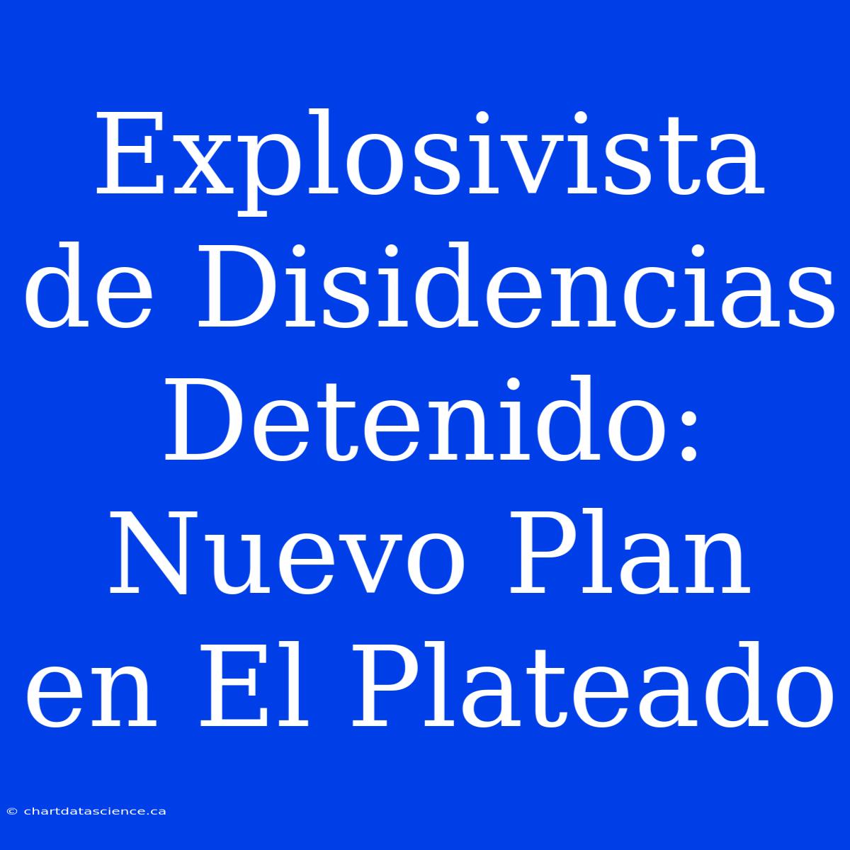 Explosivista De Disidencias Detenido: Nuevo Plan En El Plateado