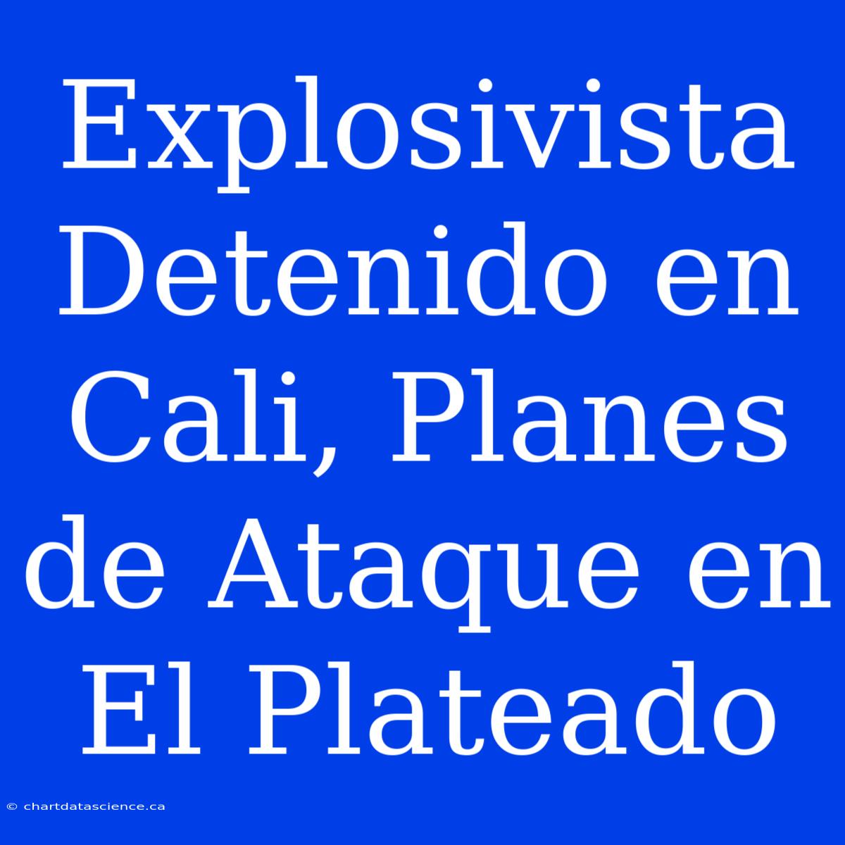 Explosivista Detenido En Cali, Planes De Ataque En El Plateado