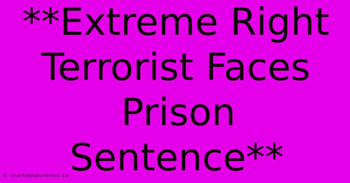 **Extreme Right Terrorist Faces Prison Sentence**