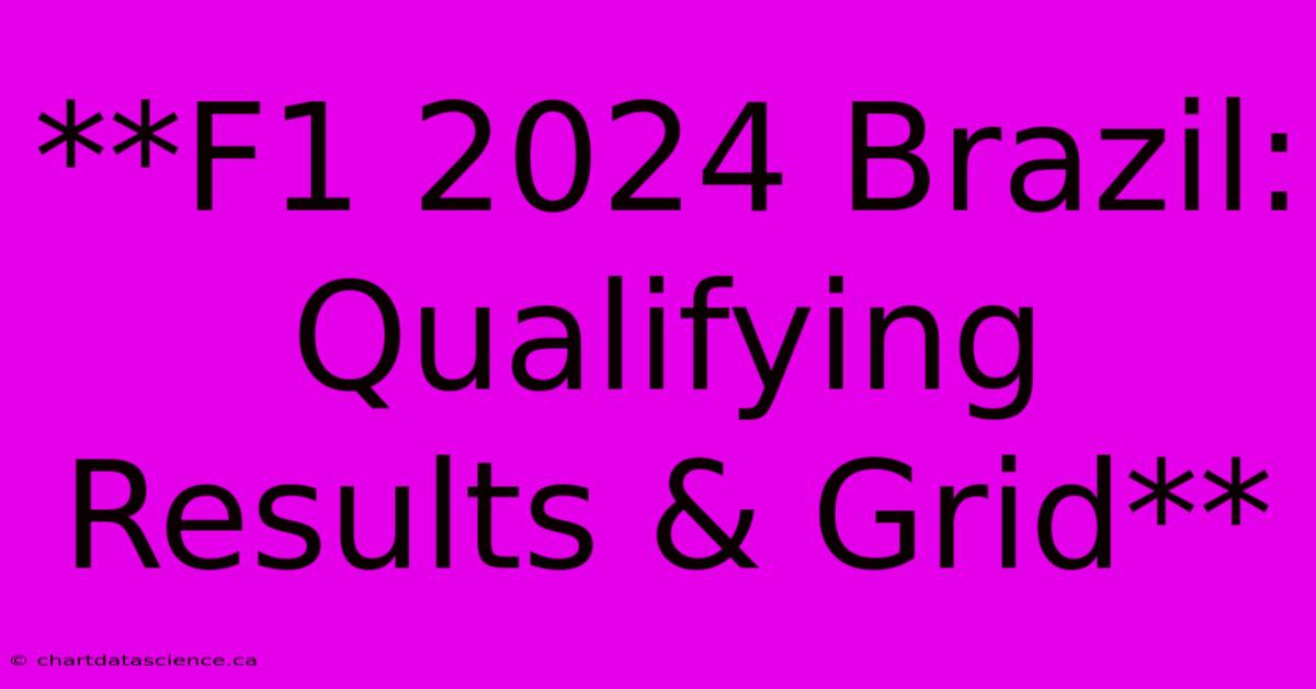 **F1 2024 Brazil Qualifying Results & Grid**