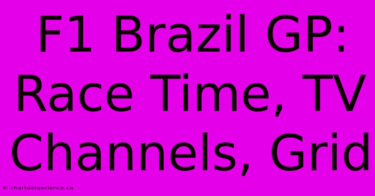 F1 Brazil GP:  Race Time, TV Channels, Grid