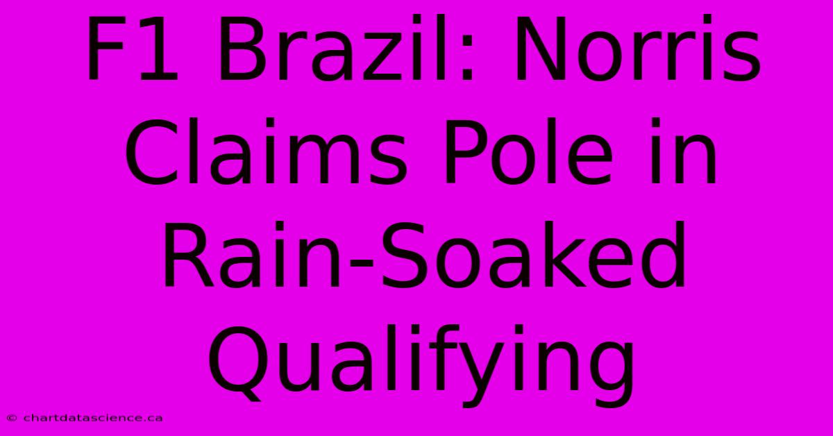 F1 Brazil: Norris Claims Pole In Rain-Soaked Qualifying