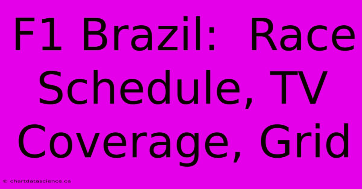 F1 Brazil:  Race Schedule, TV Coverage, Grid