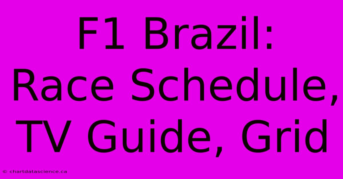 F1 Brazil:  Race Schedule, TV Guide, Grid