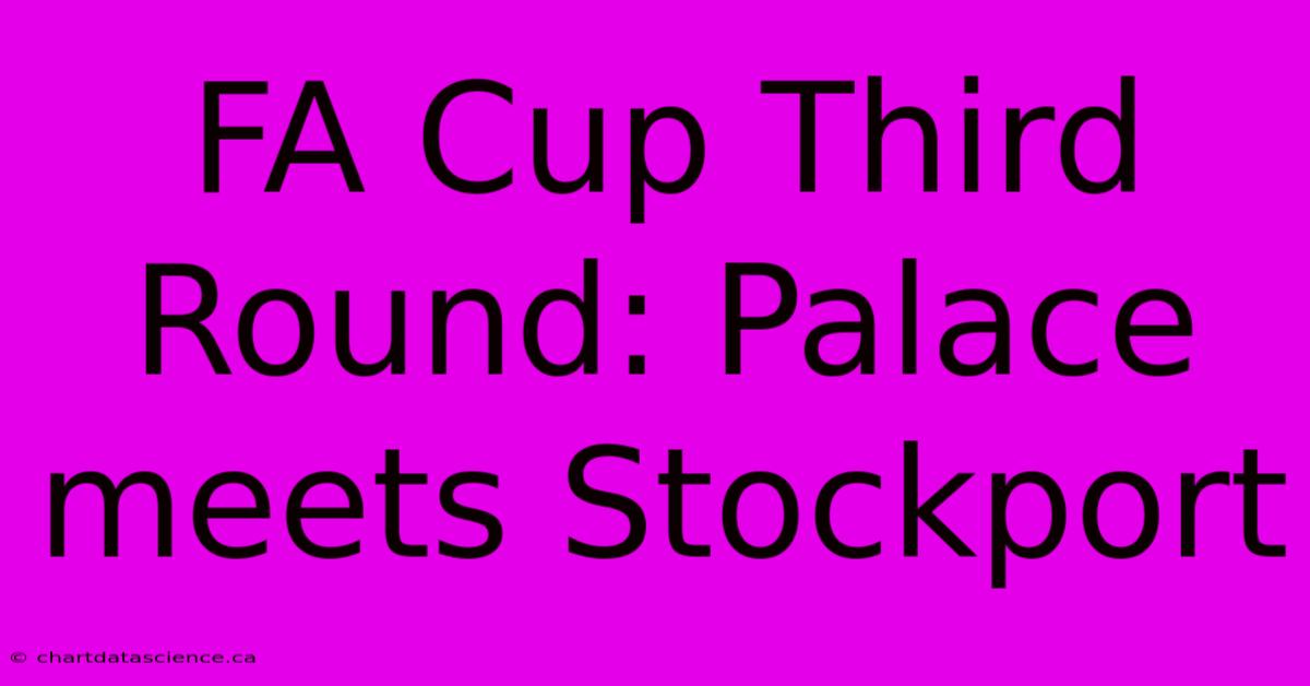 FA Cup Third Round: Palace Meets Stockport