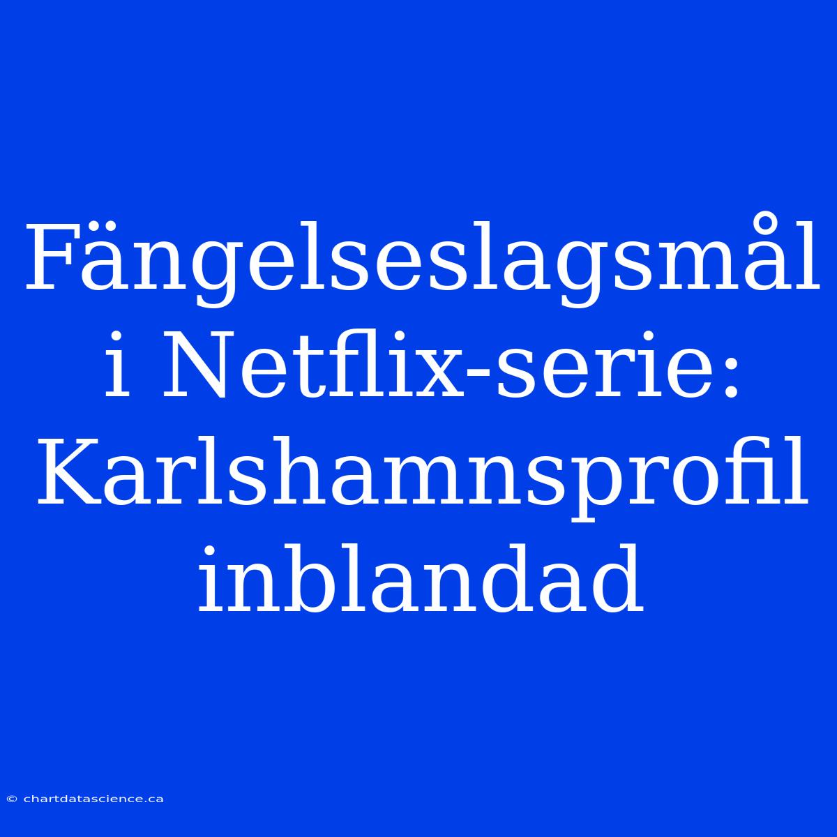 Fängelseslagsmål I Netflix-serie: Karlshamnsprofil Inblandad