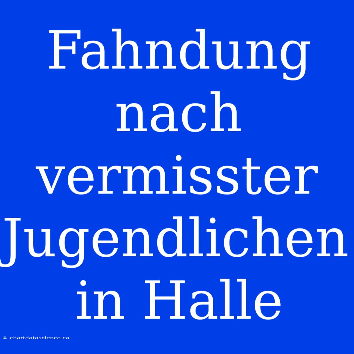 Fahndung Nach Vermisster Jugendlichen In Halle