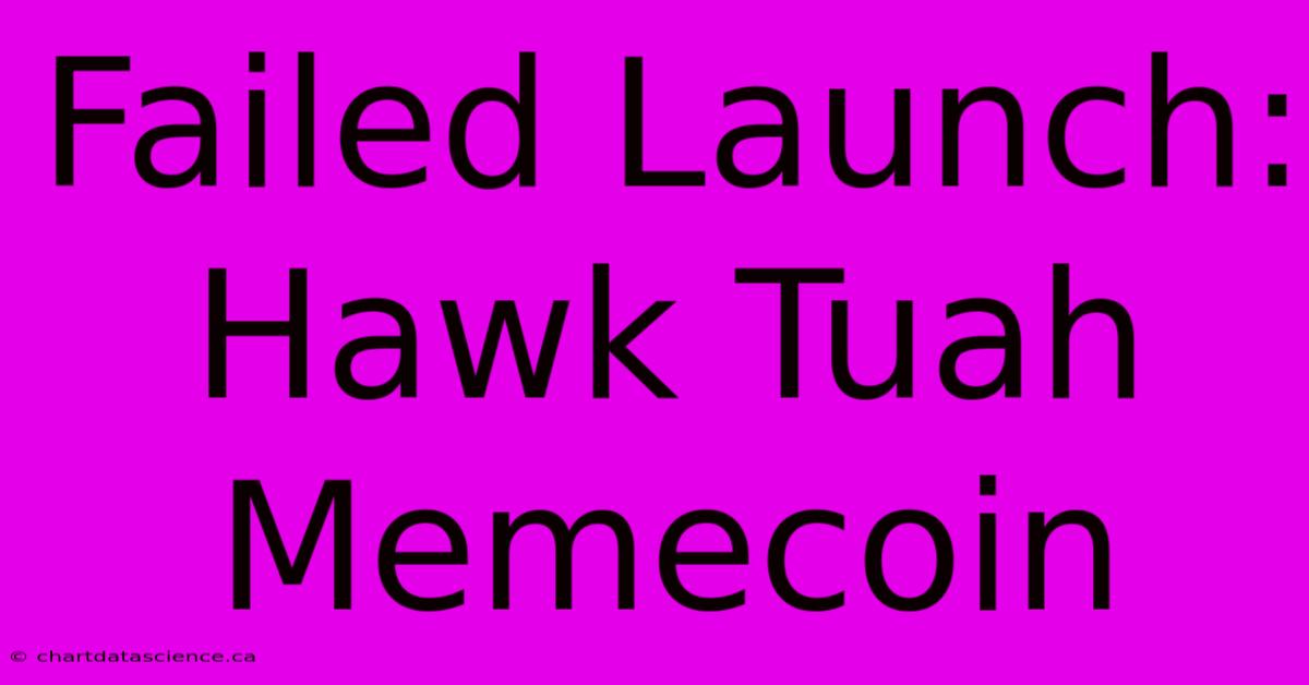 Failed Launch: Hawk Tuah Memecoin