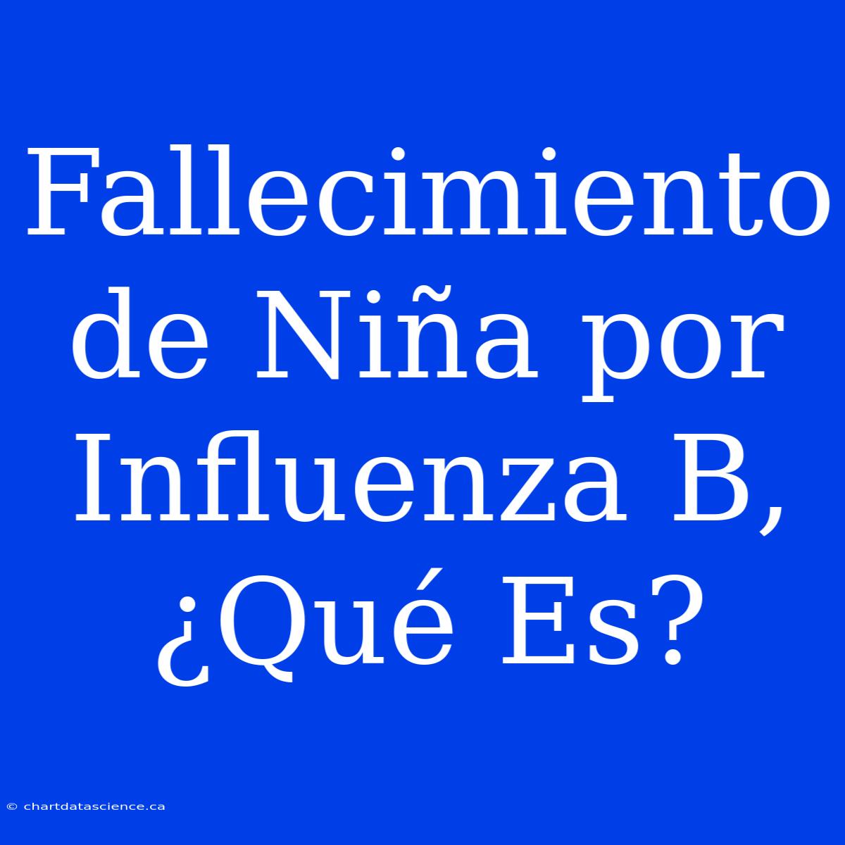 Fallecimiento De Niña Por Influenza B, ¿Qué Es?