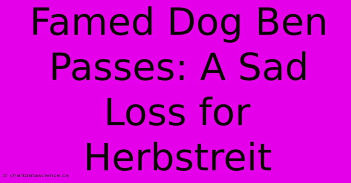 Famed Dog Ben Passes: A Sad Loss For Herbstreit