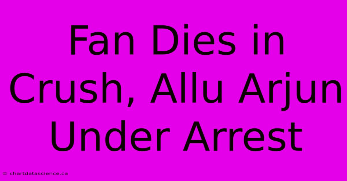 Fan Dies In Crush, Allu Arjun Under Arrest