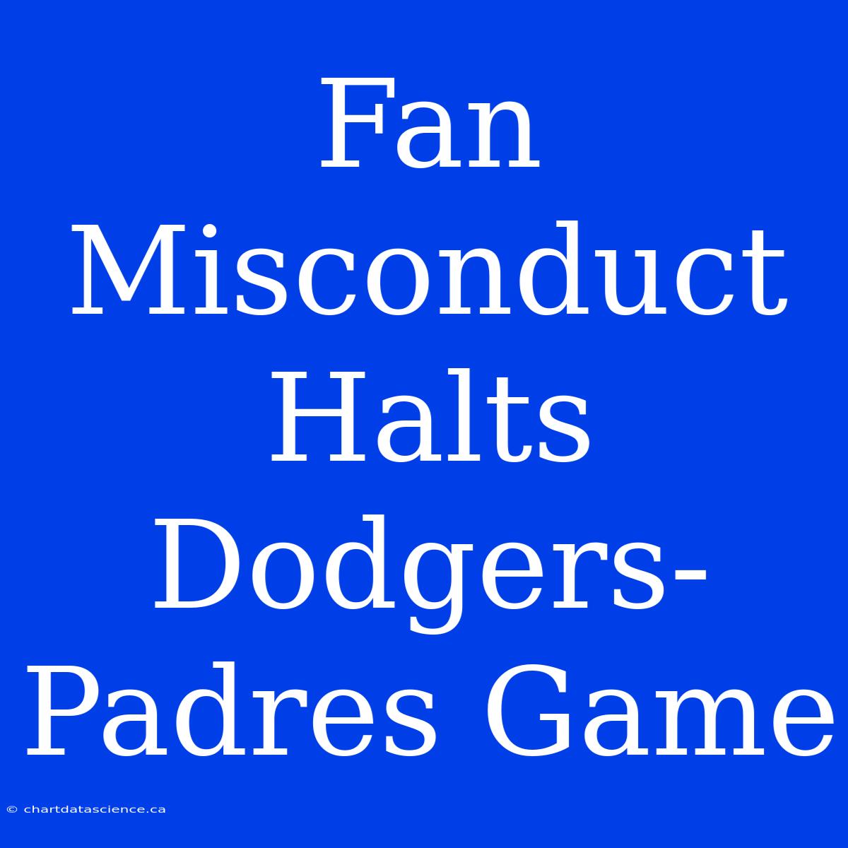 Fan Misconduct Halts Dodgers-Padres Game