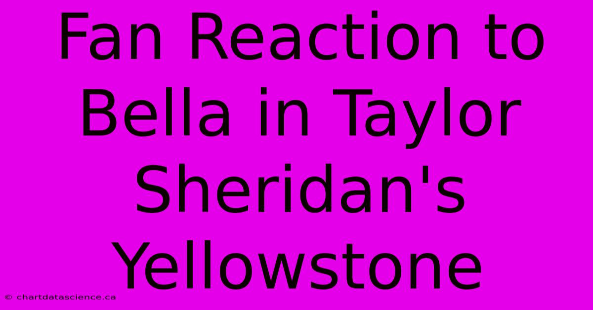 Fan Reaction To Bella In Taylor Sheridan's Yellowstone