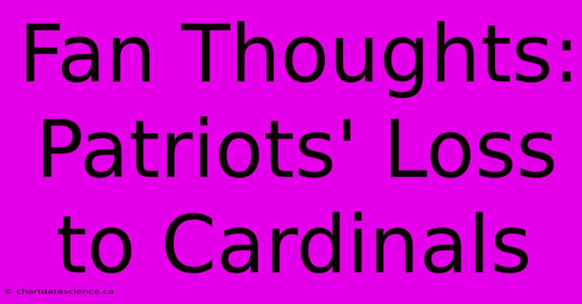 Fan Thoughts: Patriots' Loss To Cardinals