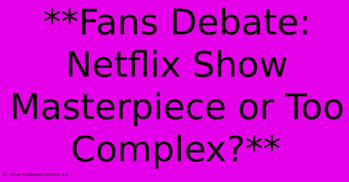 **Fans Debate: Netflix Show Masterpiece Or Too Complex?**