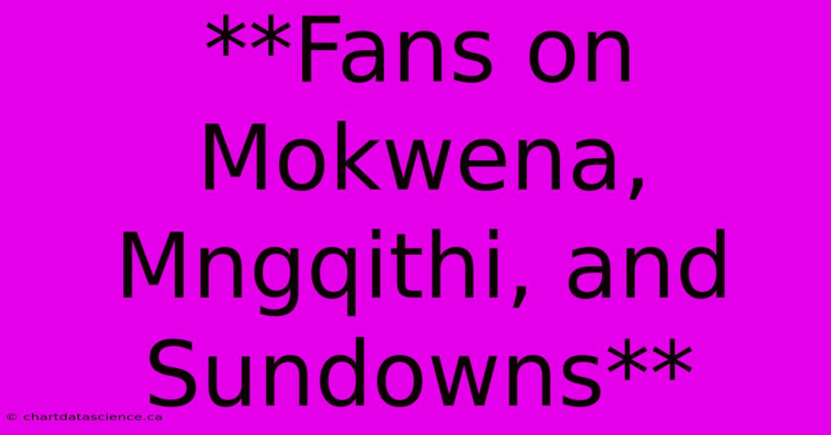 **Fans On Mokwena, Mngqithi, And Sundowns** 