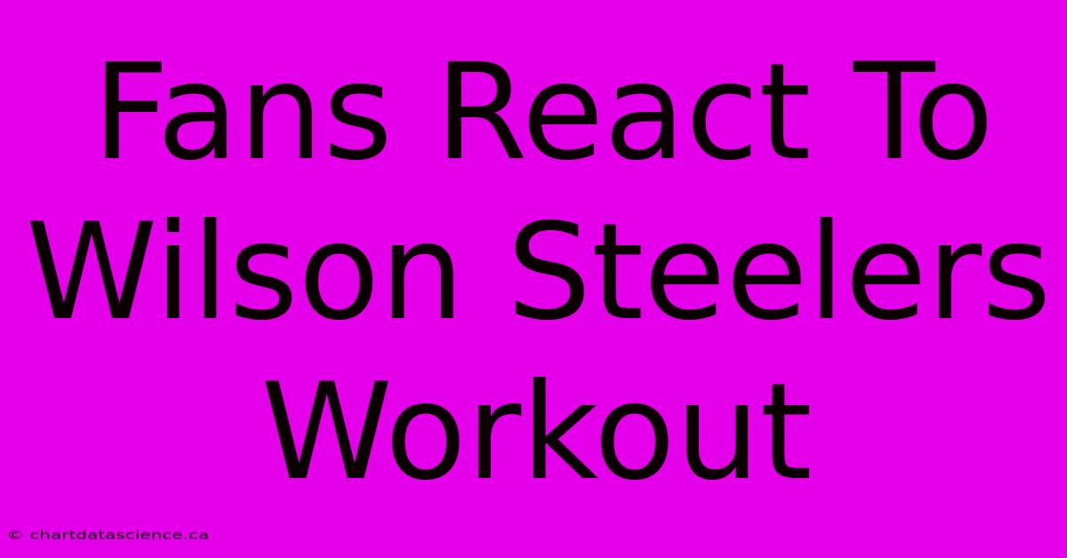 Fans React To Wilson Steelers Workout