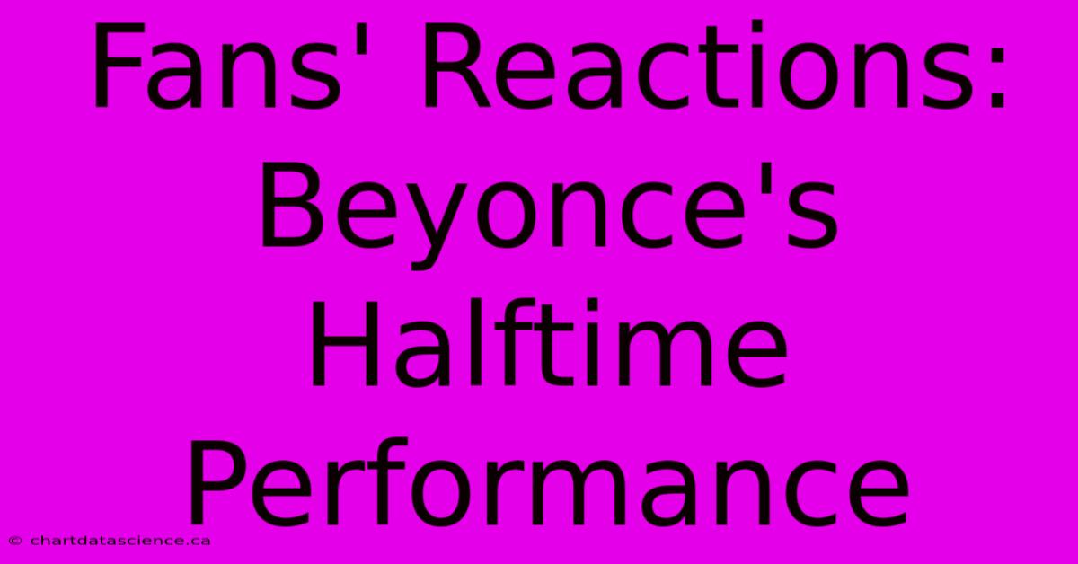 Fans' Reactions: Beyonce's Halftime Performance