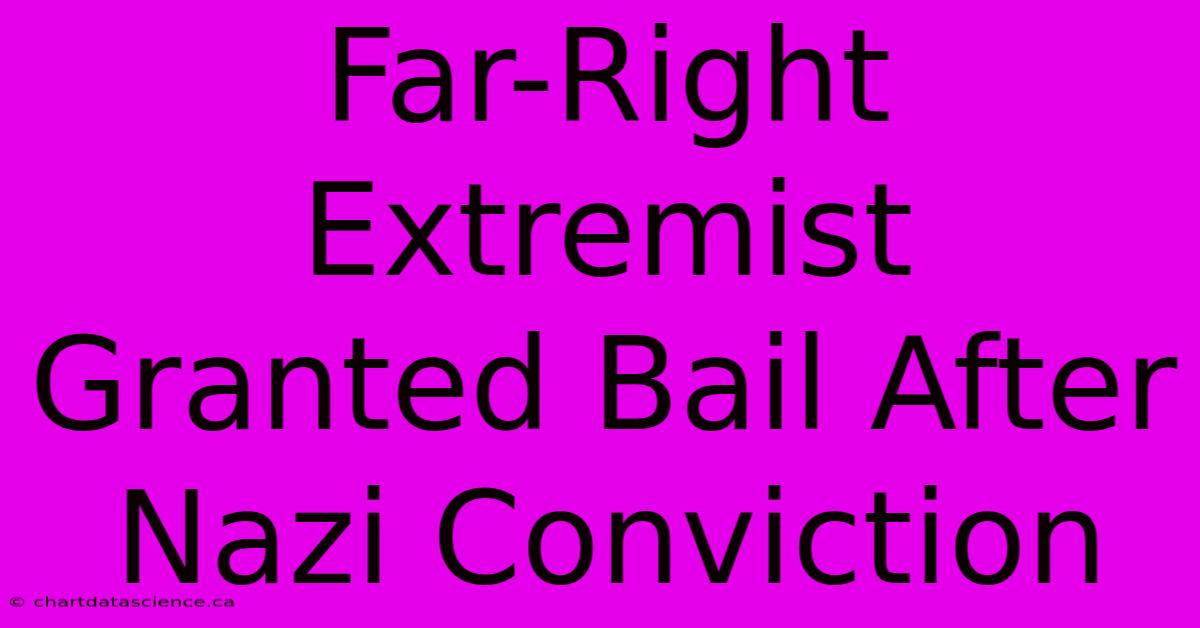 Far-Right Extremist Granted Bail After Nazi Conviction