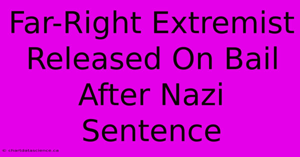 Far-Right Extremist Released On Bail After Nazi Sentence