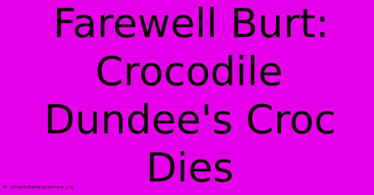 Farewell Burt: Crocodile Dundee's Croc Dies