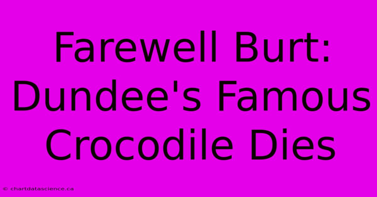 Farewell Burt: Dundee's Famous Crocodile Dies