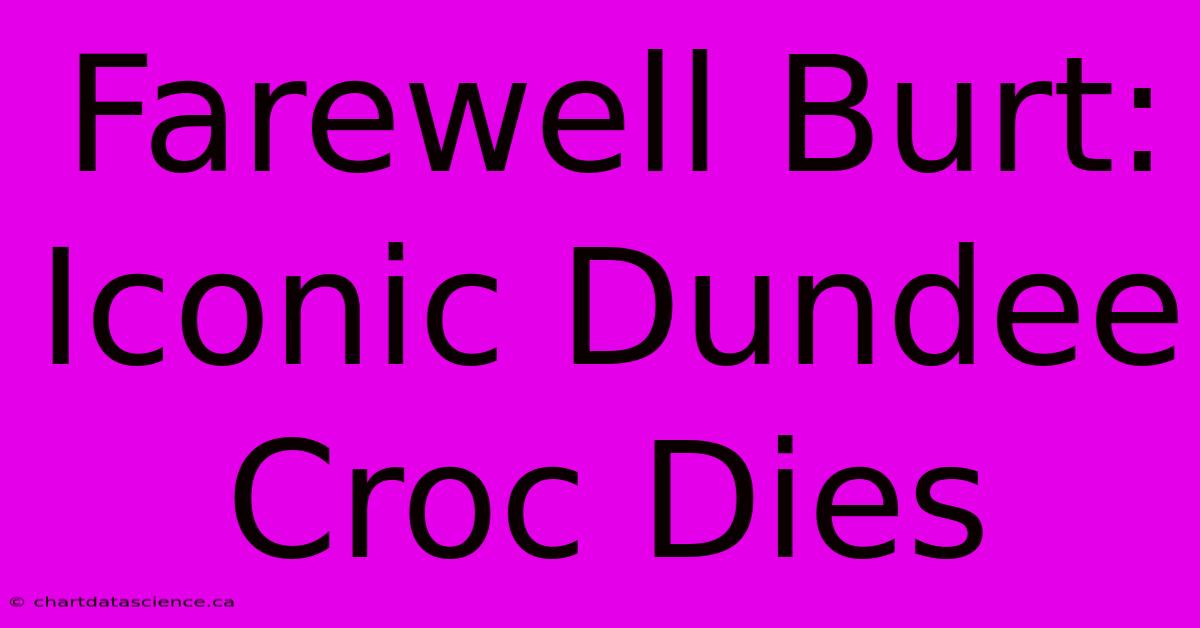 Farewell Burt: Iconic Dundee Croc Dies