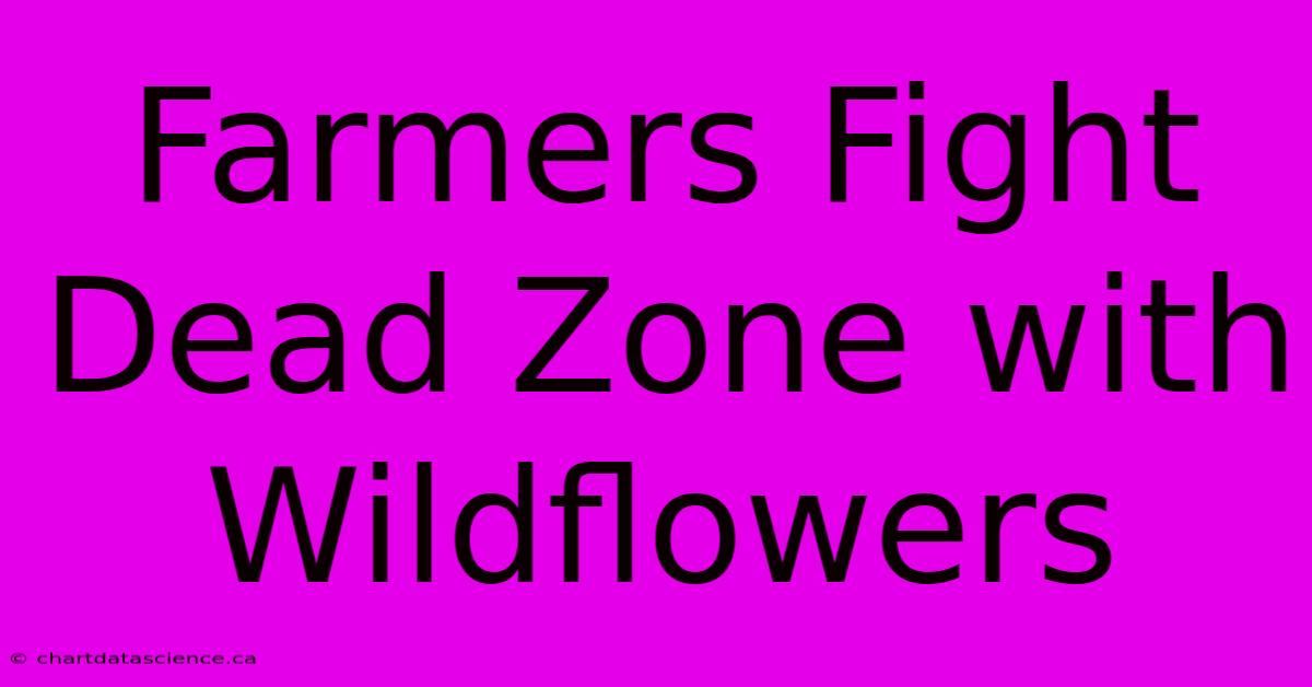 Farmers Fight Dead Zone With Wildflowers