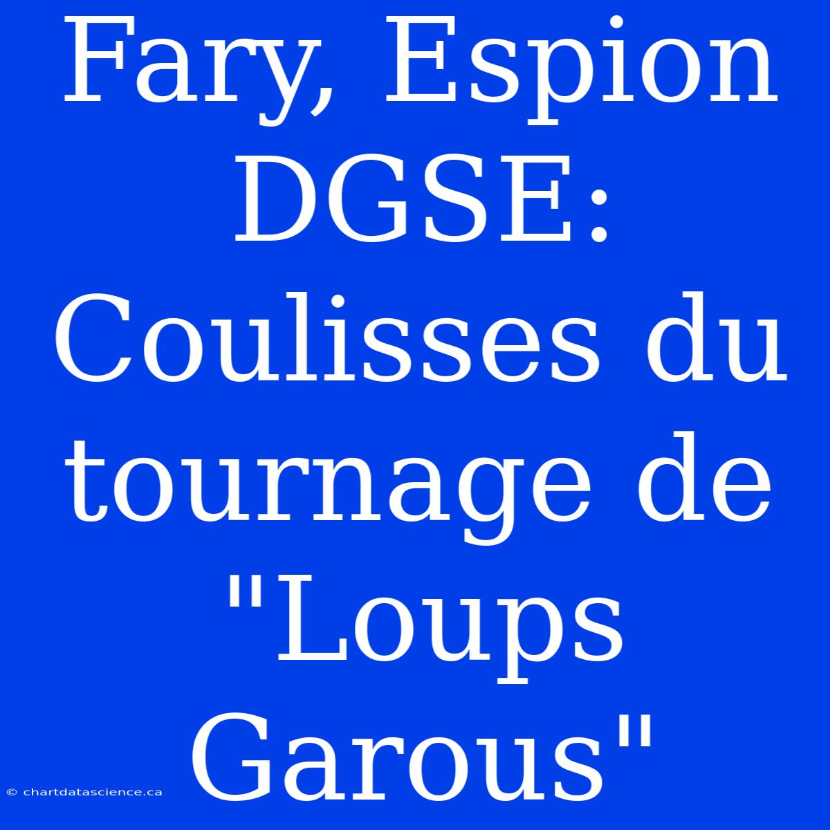 Fary, Espion DGSE: Coulisses Du Tournage De 